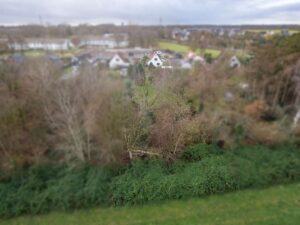 DJI_0337-HDR-Bearbeitet